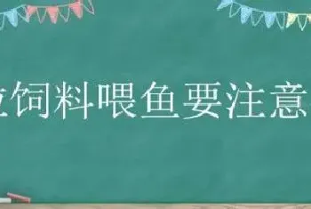 颗粒饲料喂鱼要注意什么