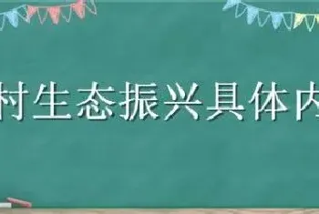 乡村生态振兴具体内容