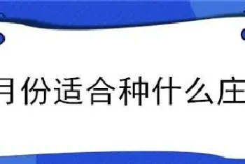 8月份适合种什么庄稼