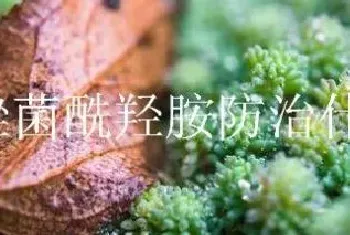 氟唑菌酰羟胺防治什么病