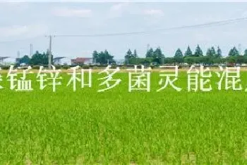 代森锰锌和多菌灵能混用吗