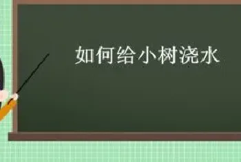 如何给小树浇水