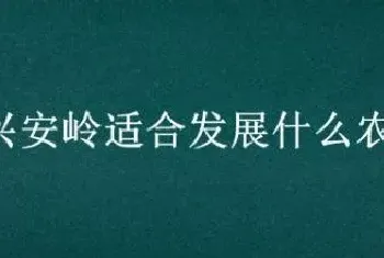 大兴安岭适合发展什么农业