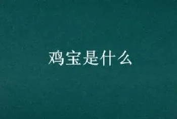 鸡宝是什么