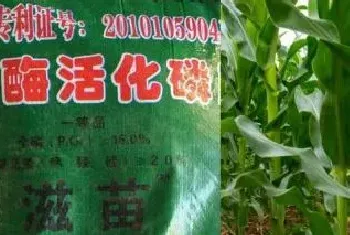 生物酶活化磷肥使用方法