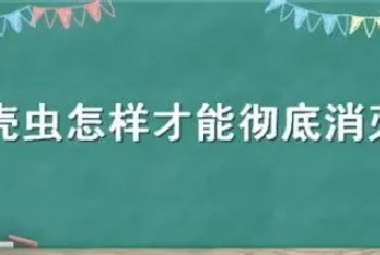 蚧壳虫怎样才能彻底消灭