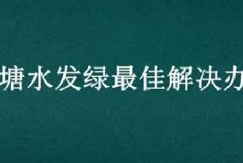 鱼塘水发绿最佳解决办法