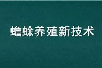 蟾蜍养殖新技术