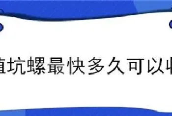 养殖坑螺最快多久可以收获