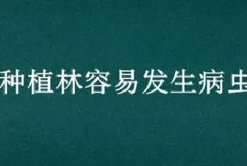 人工种植林容易发生病虫害吗