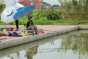 鱼塘钓鱼用什么鱼竿