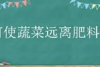 如何使蔬菜远离肥料污染