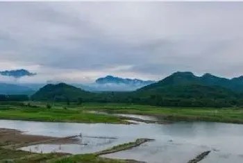 积水田适合种植什么