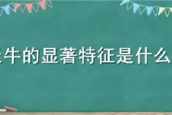 天牛的显著特征是什么