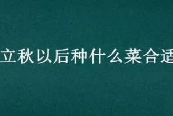 适合8月种植的农作物