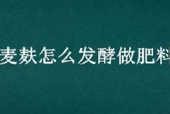 麦麸怎么发酵做肥料