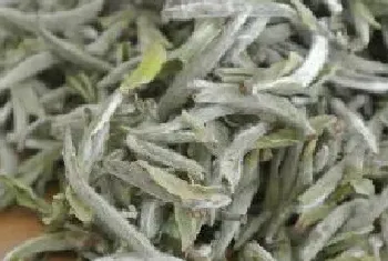 大白毫茶的功效与作用?