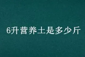 6升营养土是多少斤