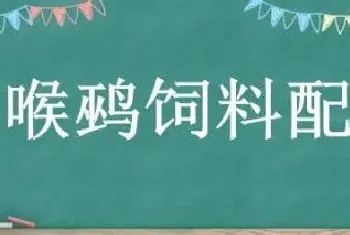 黄喉鹀饲料配方