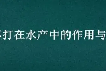 大苏打在水产中的作用与用量