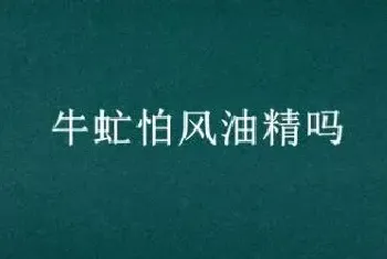 牛虻怕风油精吗