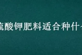 硫酸钾肥料适合种什么