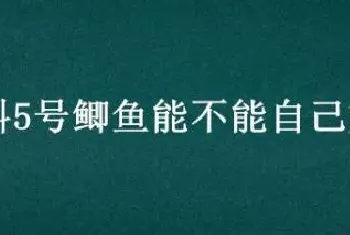 中科5号鲫鱼能不能自己繁殖