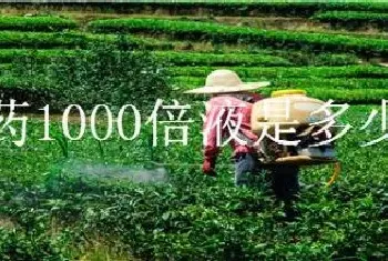 农药1000倍液是多少水