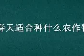 春天适合种什么农作物