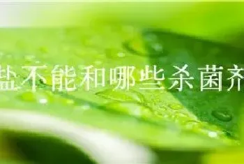 甲维盐不能和哪些杀菌剂混用