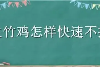 野生竹鸡怎样快速不撞笼