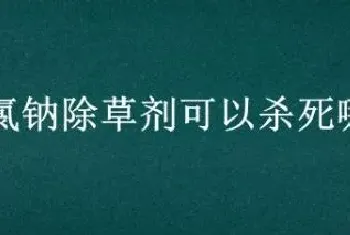 2甲4氯钠除草剂可以杀死哪些草