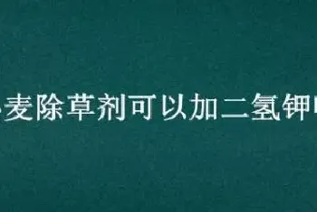 小麦除草剂可以加二氢钾吗