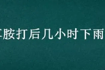 乙草胺打后几小时下雨没事