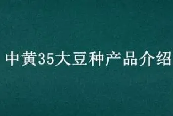 中黄35大豆种产品介绍