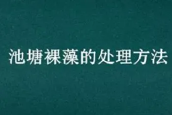 池塘裸藻的处理方法