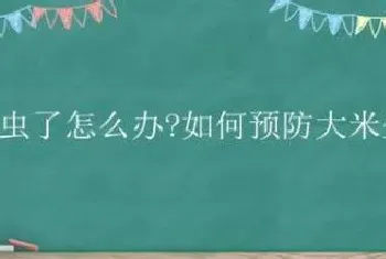 米生虫了怎么办?如何预防大米生虫?