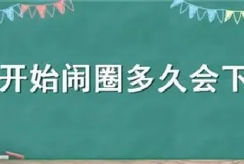 母猪开始闹圈多久会下小猪