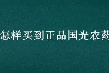 怎样买到正品国光农药