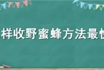 怎样收野蜜蜂方法最快