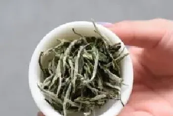 老白茶的功效与作用及禁忌 适合什么季节喝?