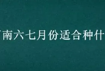 河南六七月份适合种什么